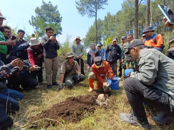 Gunung Ciremai Jadi Langganan Kebakaran, Kini Umbung dan Sekat Bakarnya Ditambah