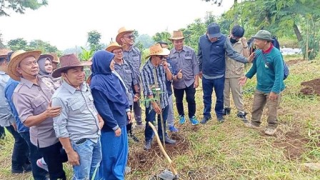 Sidak ke Arunika, Anggota Dewan Cek Ribuan Bibit Pohon Siap Tanam untuk Arboretum